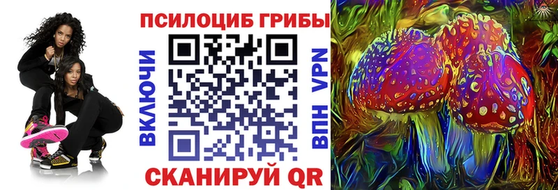 Галлюциногенные грибы MAGIC MUSHROOMS  OMG онион  Моршанск 